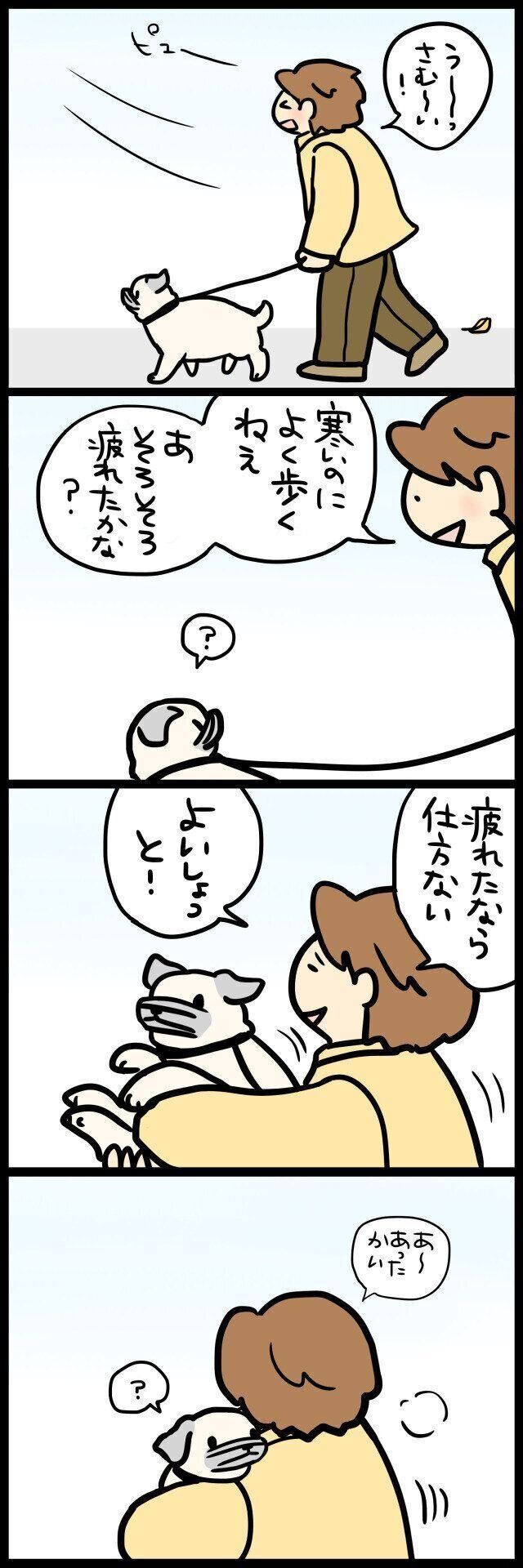 【連載】パグ犬めー