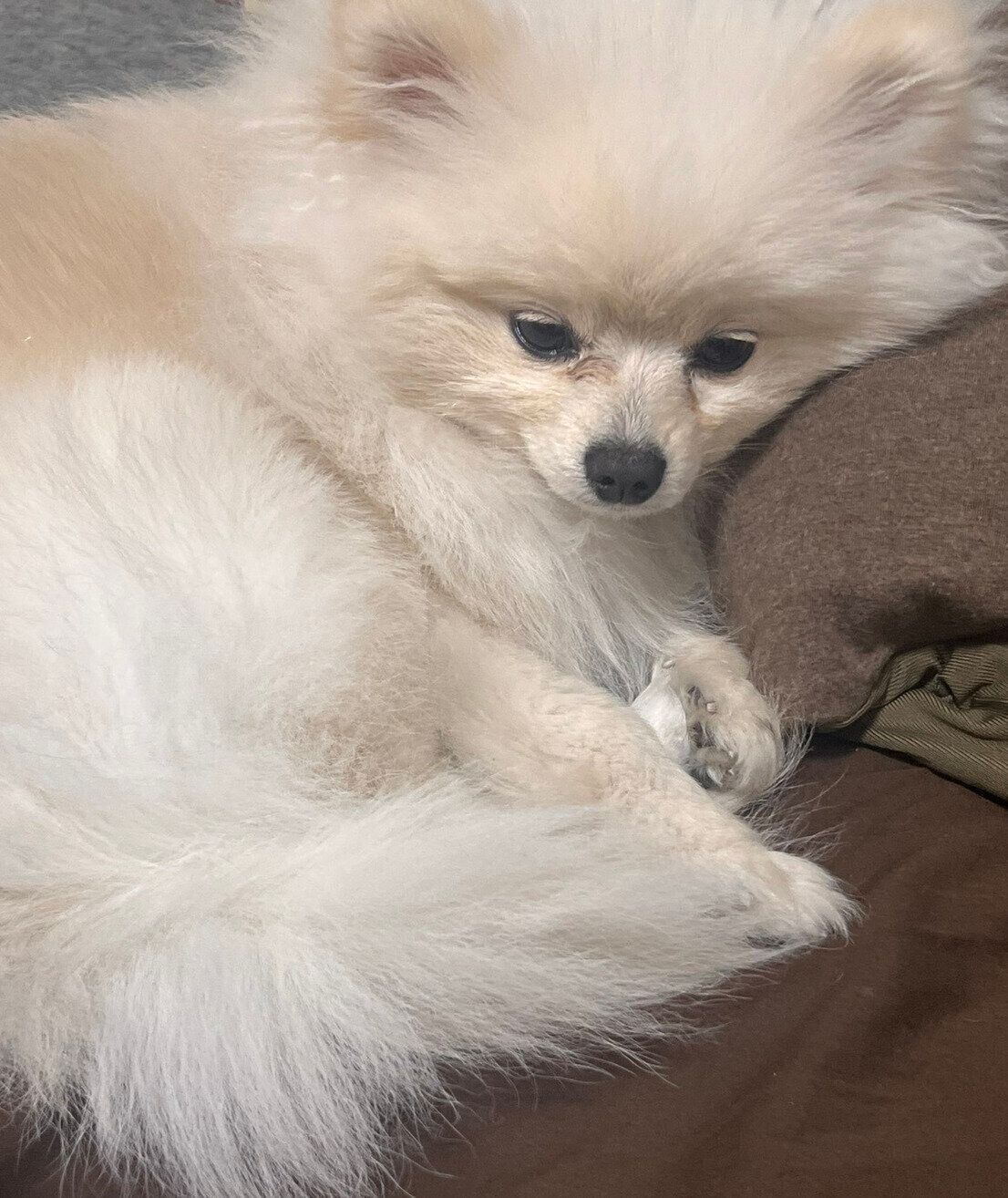 眠そうな虎太郎くん