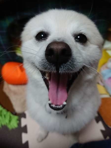 お耳が隠れてますよ〜