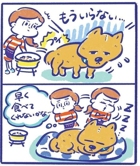 フードを置きっぱなし