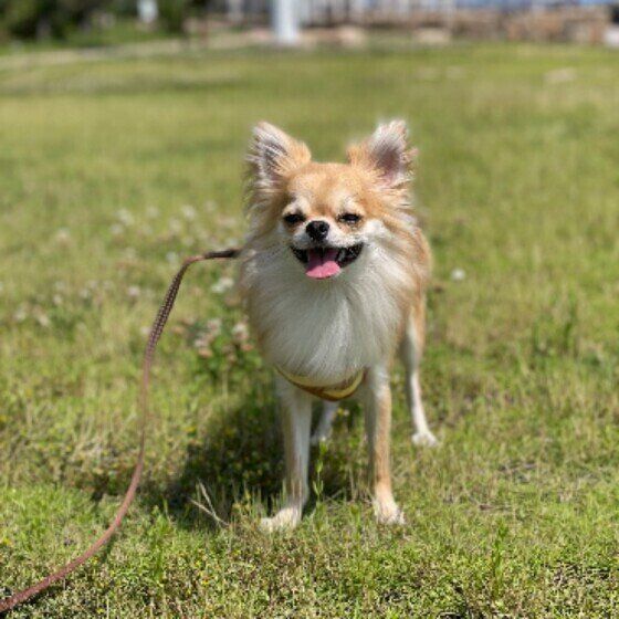 成長した颯次朗くん