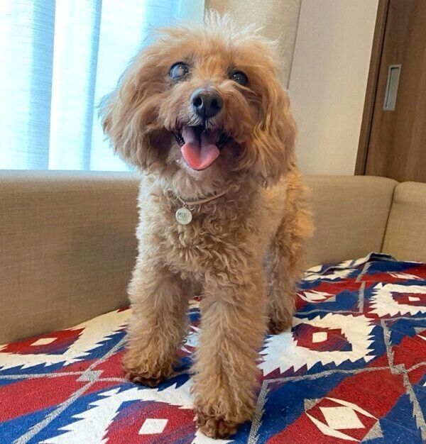 笑顔のむぎちゃん