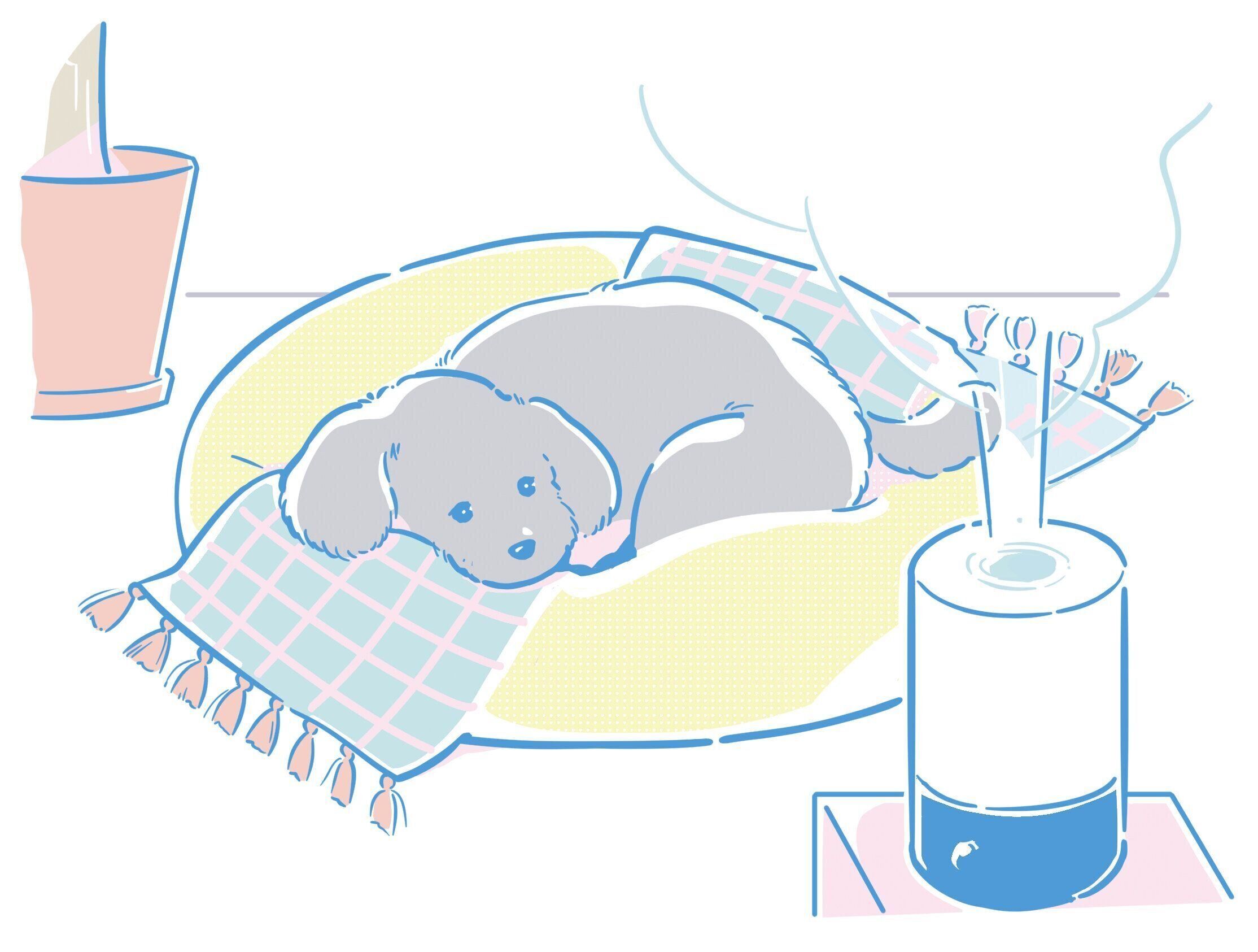 これからの乾燥シーズンは要注意（イラスト／坂本彩）