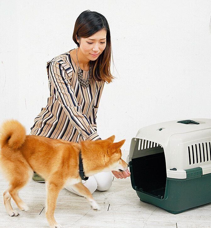 クレートを元に戻し、フードを使います