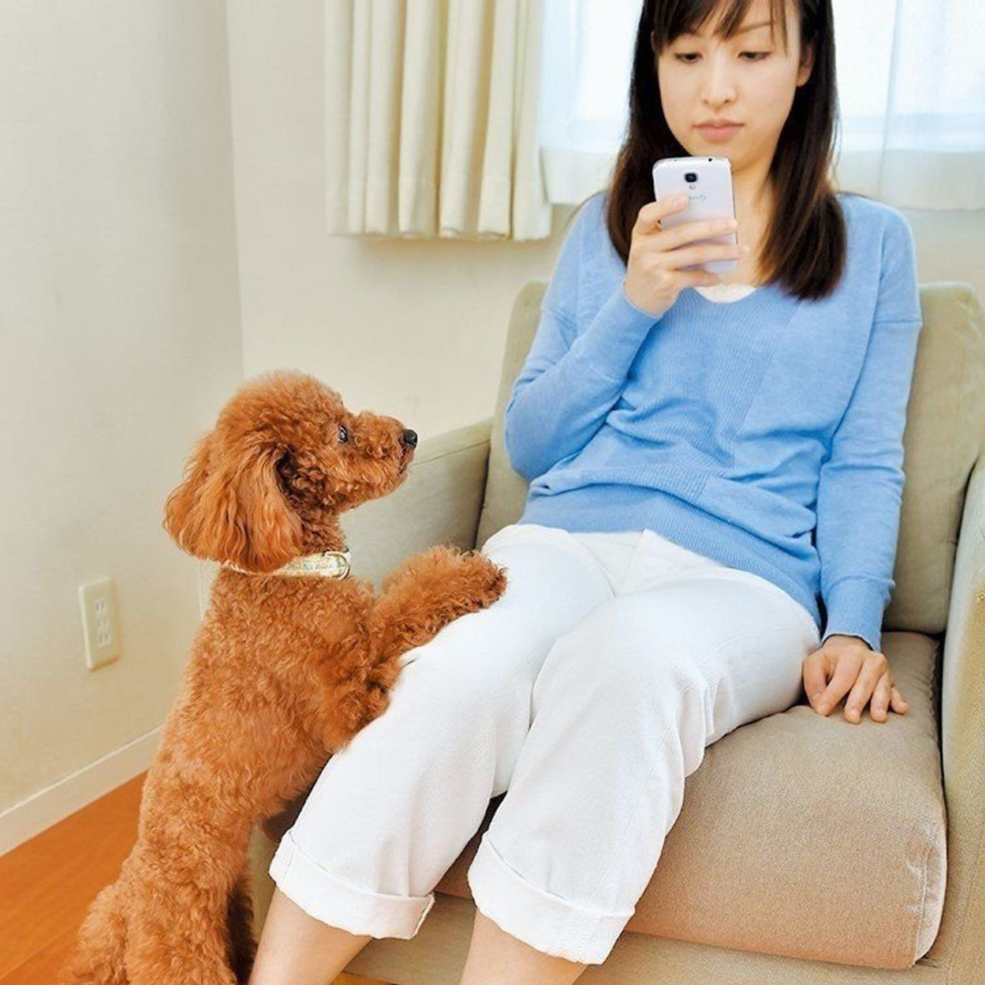 かまって犬 さみしくなるといじけちゃう犬種って いぬのきもちweb Magazine かまって犬 さみしくなるといじけちゃう犬種って いぬのきもちweb Magazine