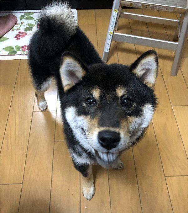 笑顔のまめすけくん