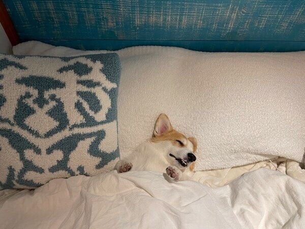 気持ちよさそうに眠るつむぎちゃん