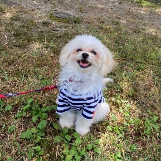 笑顔のむぎちゃん