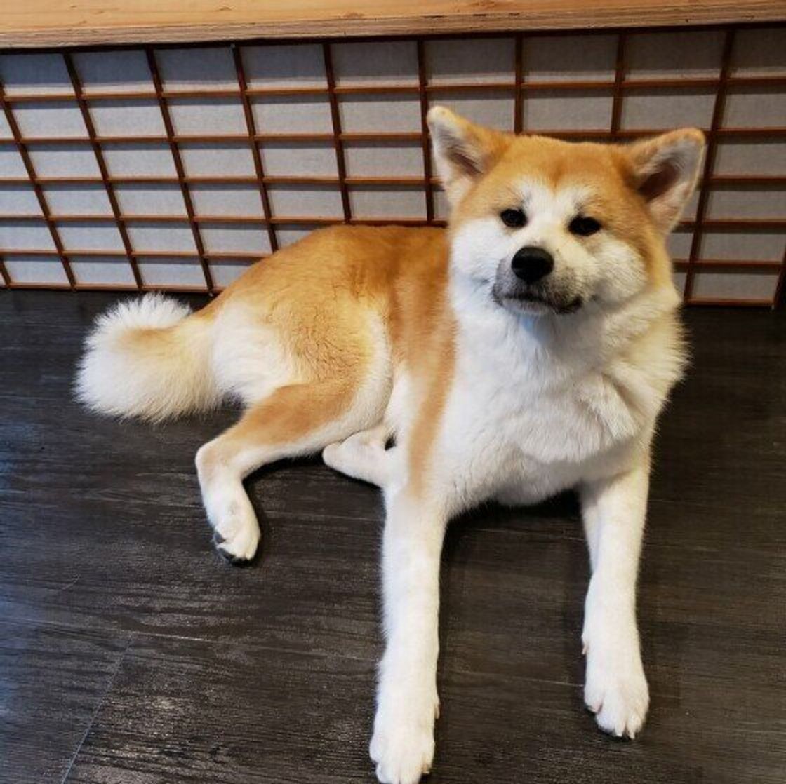 Wou 3jfs0qmewm Wou 3jfs0qmewm