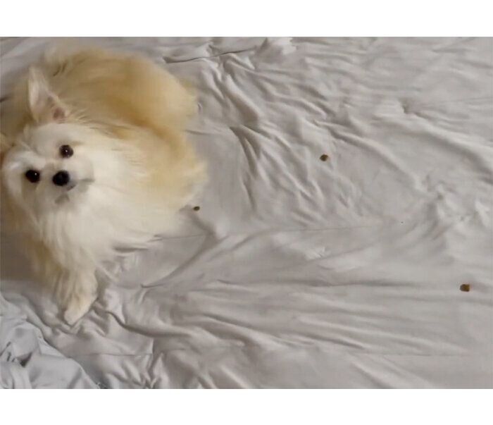 変な癖があるめろ子ちゃん