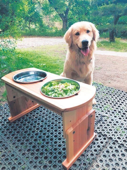 写真提供／Hさん