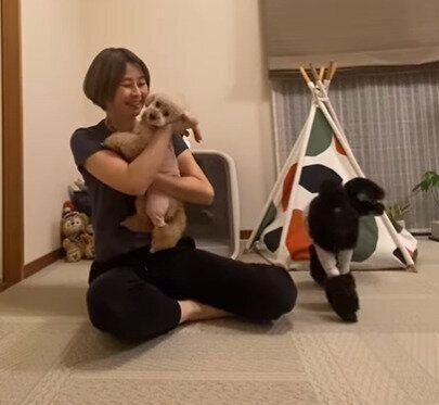 あんずちゃんとギュー