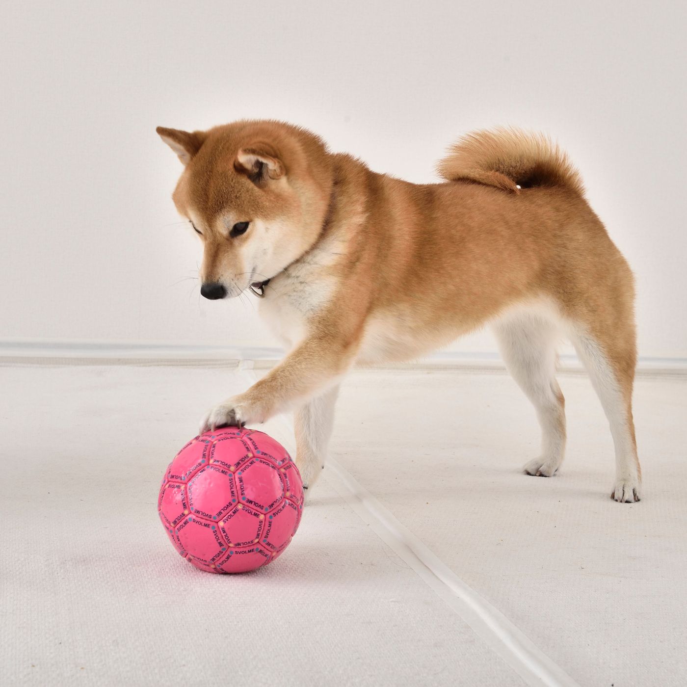 Npwukz7kgomn0m Npwukz7kgomn0m