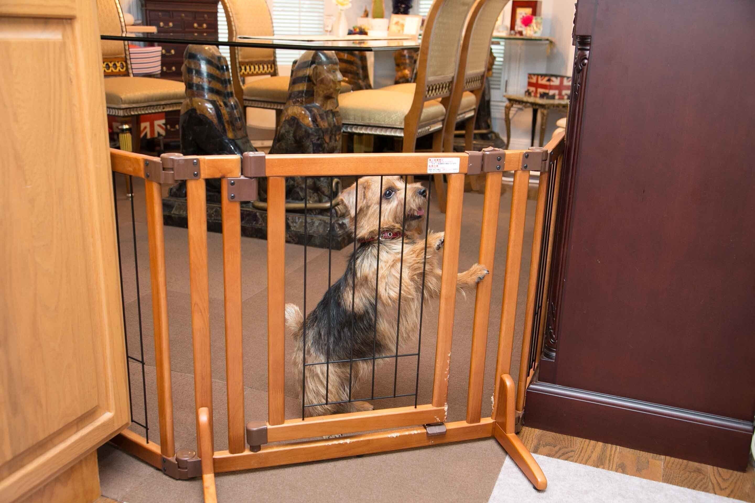 柵をして玄関に行けないようにしておくのも手