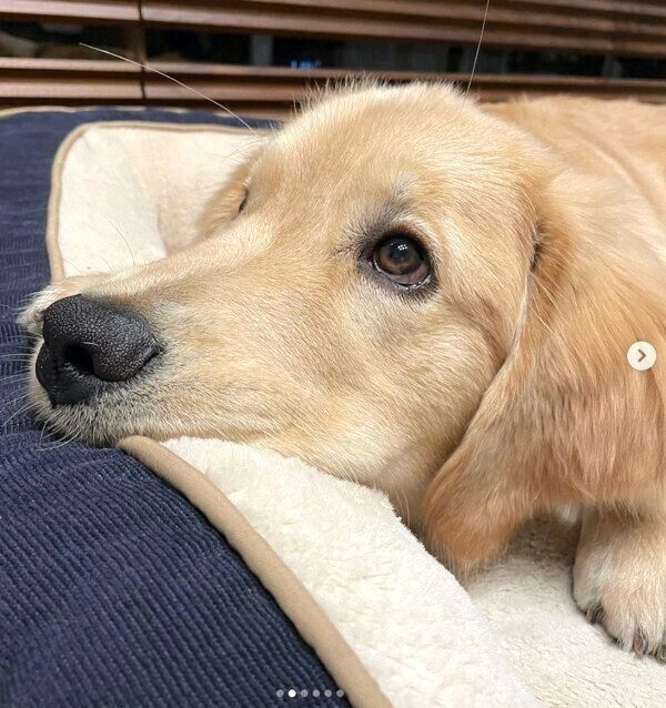 まったりするそらくん