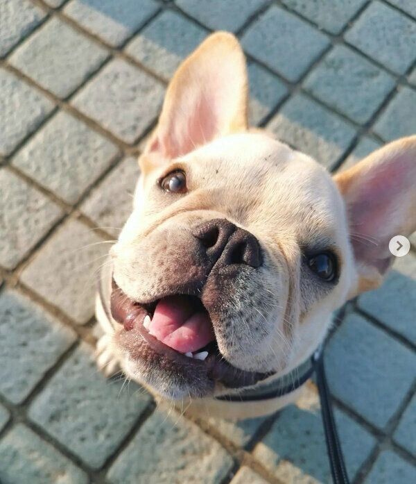 見つめる桜丸くん