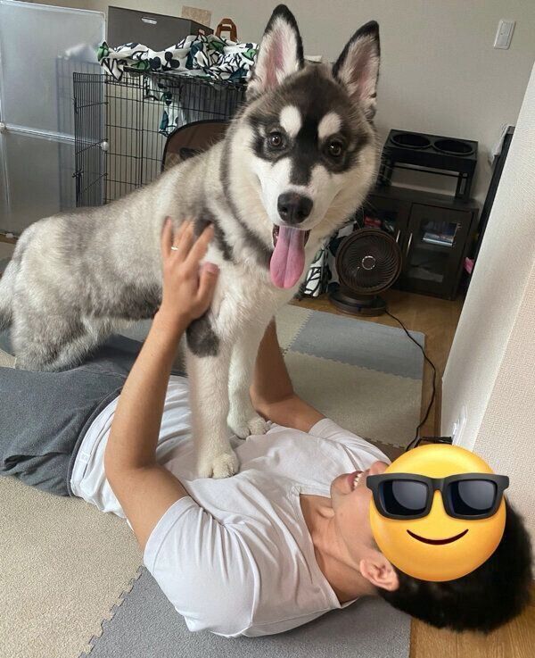 甘えるウルリくん