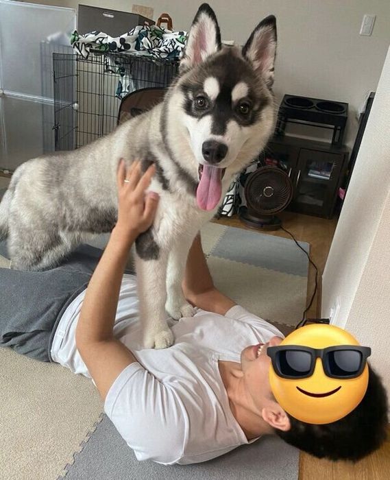 甘えるウルリくん