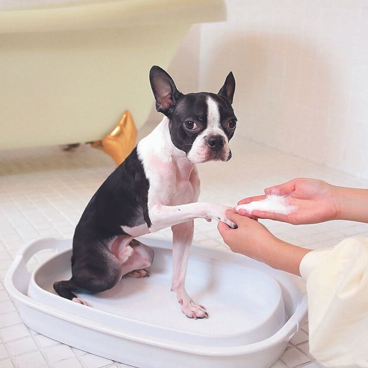 撮影／尾﨑たまき