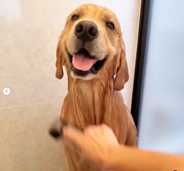 ニコニコ笑顔でお風呂に入るアランくん