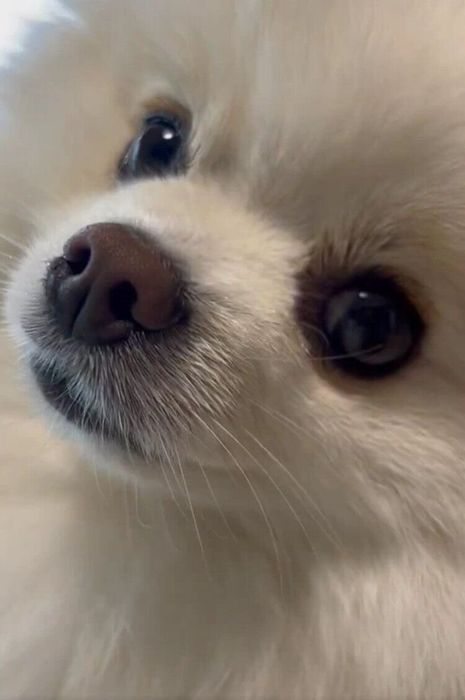さらに反対に首をかしげる天くん