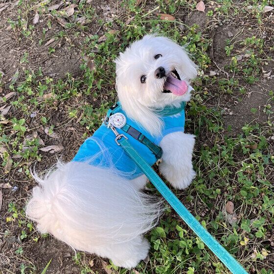 笑顔の凪ちゃん