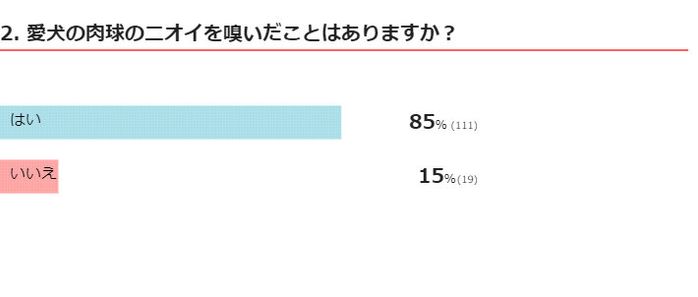 愛犬の肉球のニオイを嗅いだことはありますか?