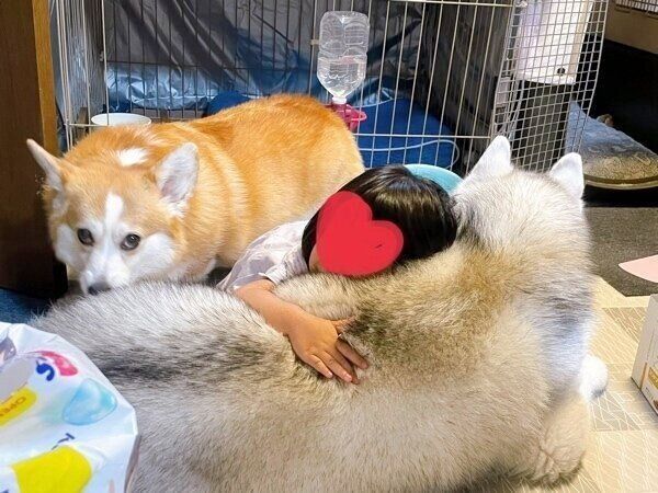 仲良く眠る“3姉妹”