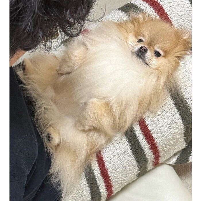 パパさんの帰宅が遅くて怒っていた様子のなごみちゃん