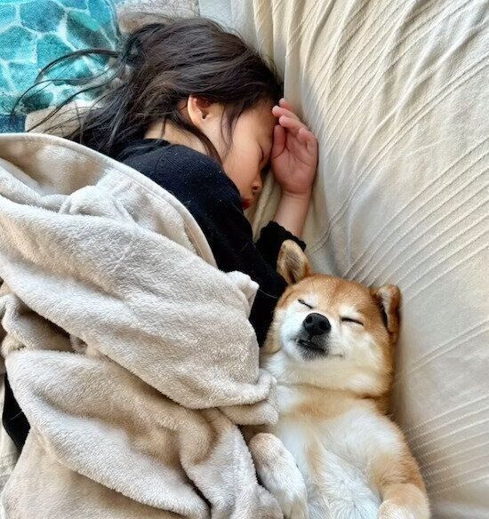 仲良く眠る花子ちゃん、モモ子ちゃん