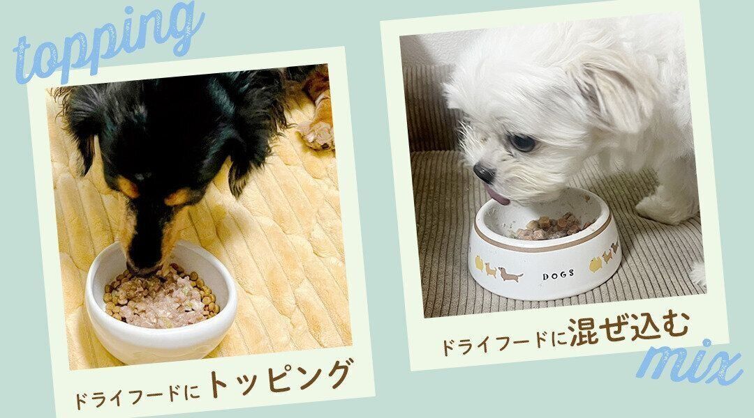 おためし4種セットの詳細を見る