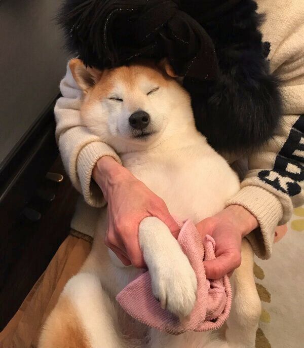 足ふき中のこたろうくん