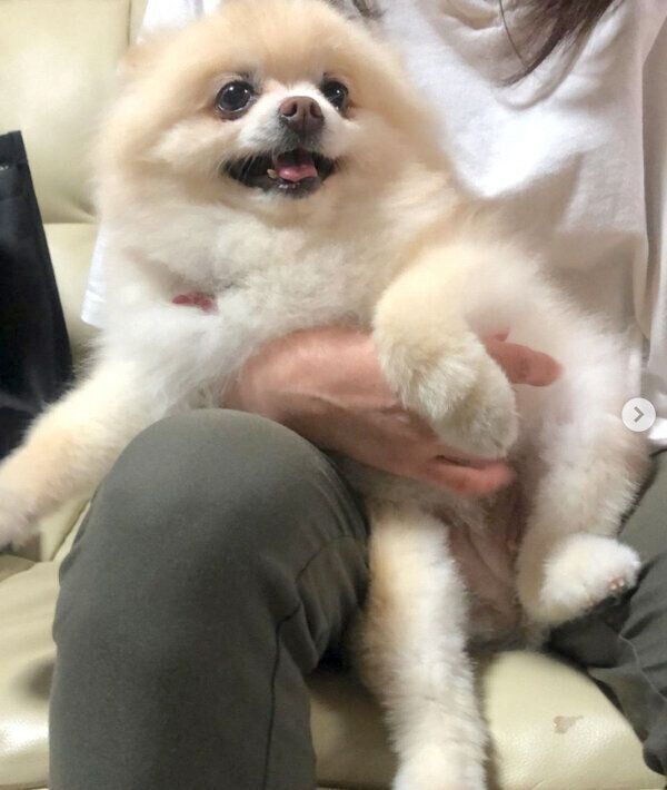 抱っこしてもらうむぎちゃん