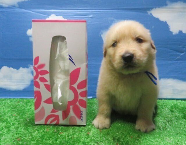 生後1カ月の頃のセナくん