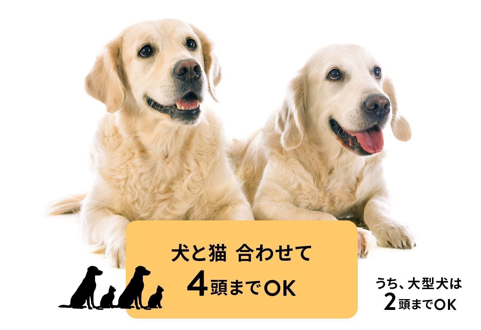 フジタ　大和リビング　リーラ横浜川和町　月次健診　犬猫合わせて4頭　マンション　賃貸マンション　ペット共生型マンション　いぬのきもち　いぬ　