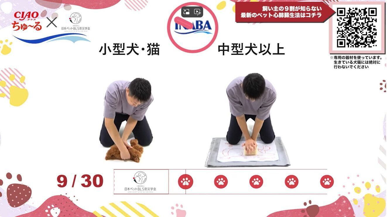 「ちゅーる」の曲に合わせたペットの心肺蘇生法トレーニング動画をYouTubeで公開中（ペットBLS検定@一般社団法人日本ペットBLS防災学会）