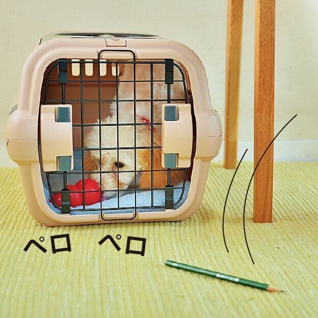 撮影／佐藤正之