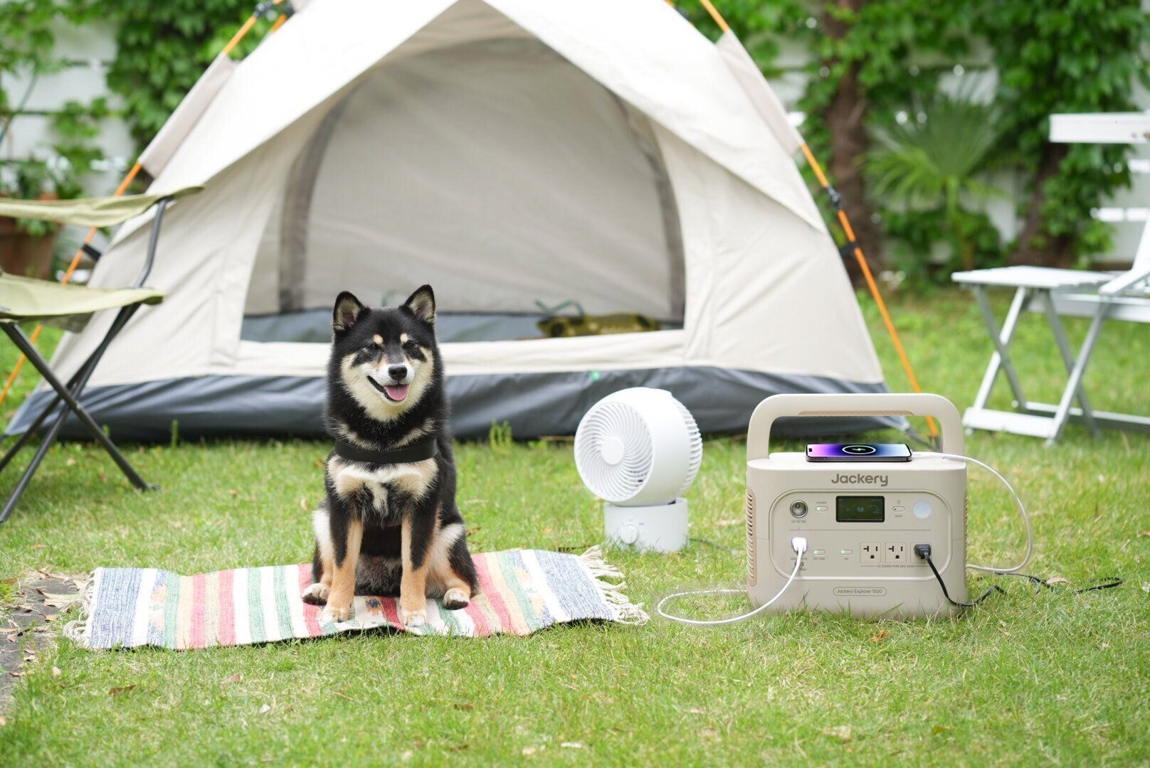 犬とお出かけ　キャンプ　ドッグラン　愛犬の酷暑対策　暑さ対策　　Jackery　ジャクリ　ポータブル電源　サーキュレーター