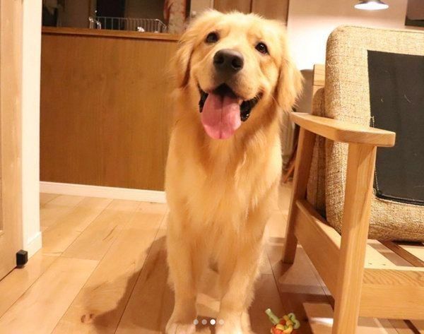 にっこり笑うモッシュくん