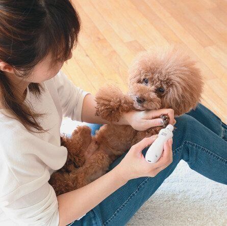 あおむけもで切ってもOK