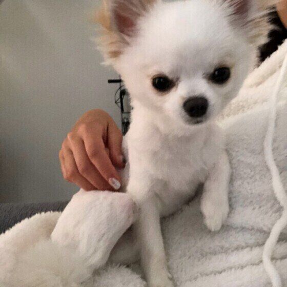 ママに甘えるめろちゃん