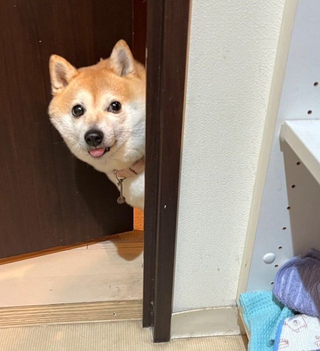 餅子ちゃんを見つめるくるみちゃん