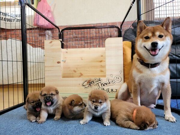 紬ちゃんと5頭の赤ちゃん