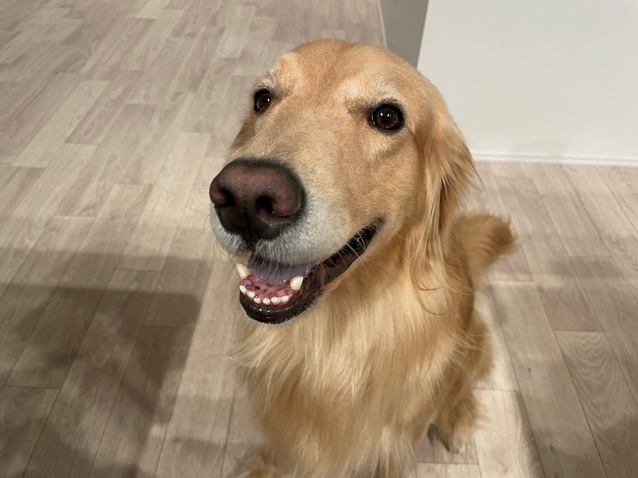 笑顔が可愛いゆずちゃん