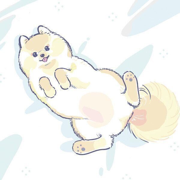 毛ヅヤは愛情の表れかも(イラスト/坂本彩)