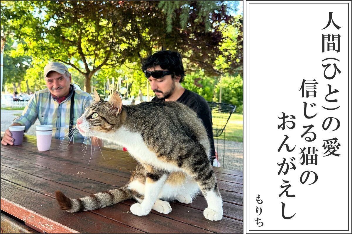 森千晴アナの犬猫あるある川柳