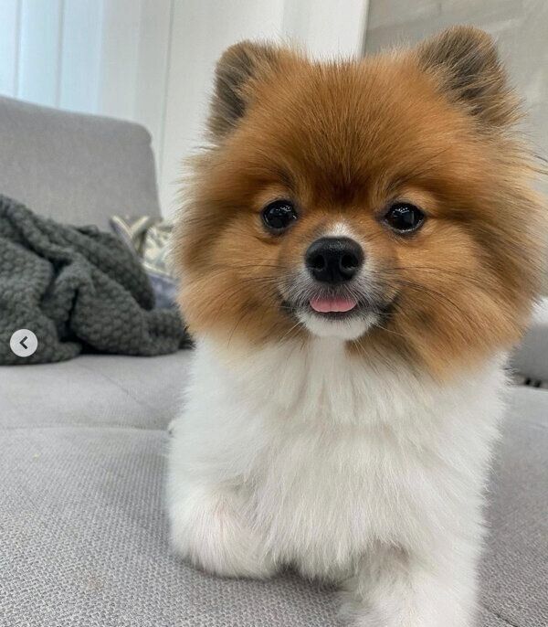 まったりするぴょるくん