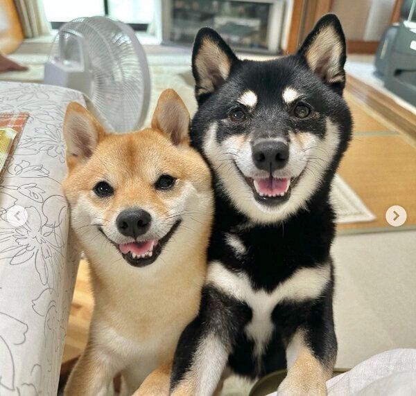 笑顔が可愛いあさちゃん、のんちゃん