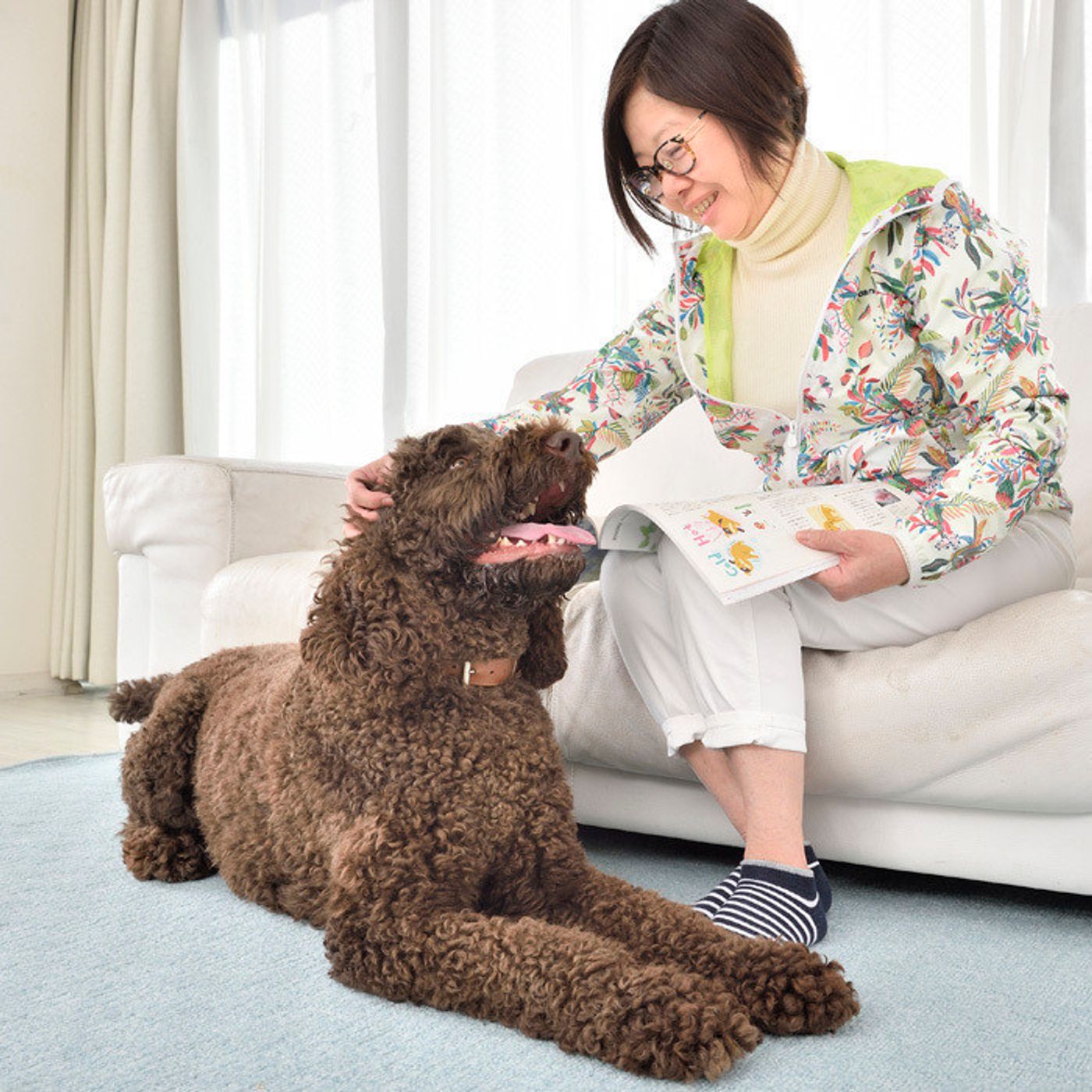 愛犬が興奮しやすいのは飼い主さんの あの行動のせいだった いぬのきもちweb Magazine 愛犬が興奮しやすいのは飼い主さんの あの行動のせいだった いぬのきもちweb Magazine