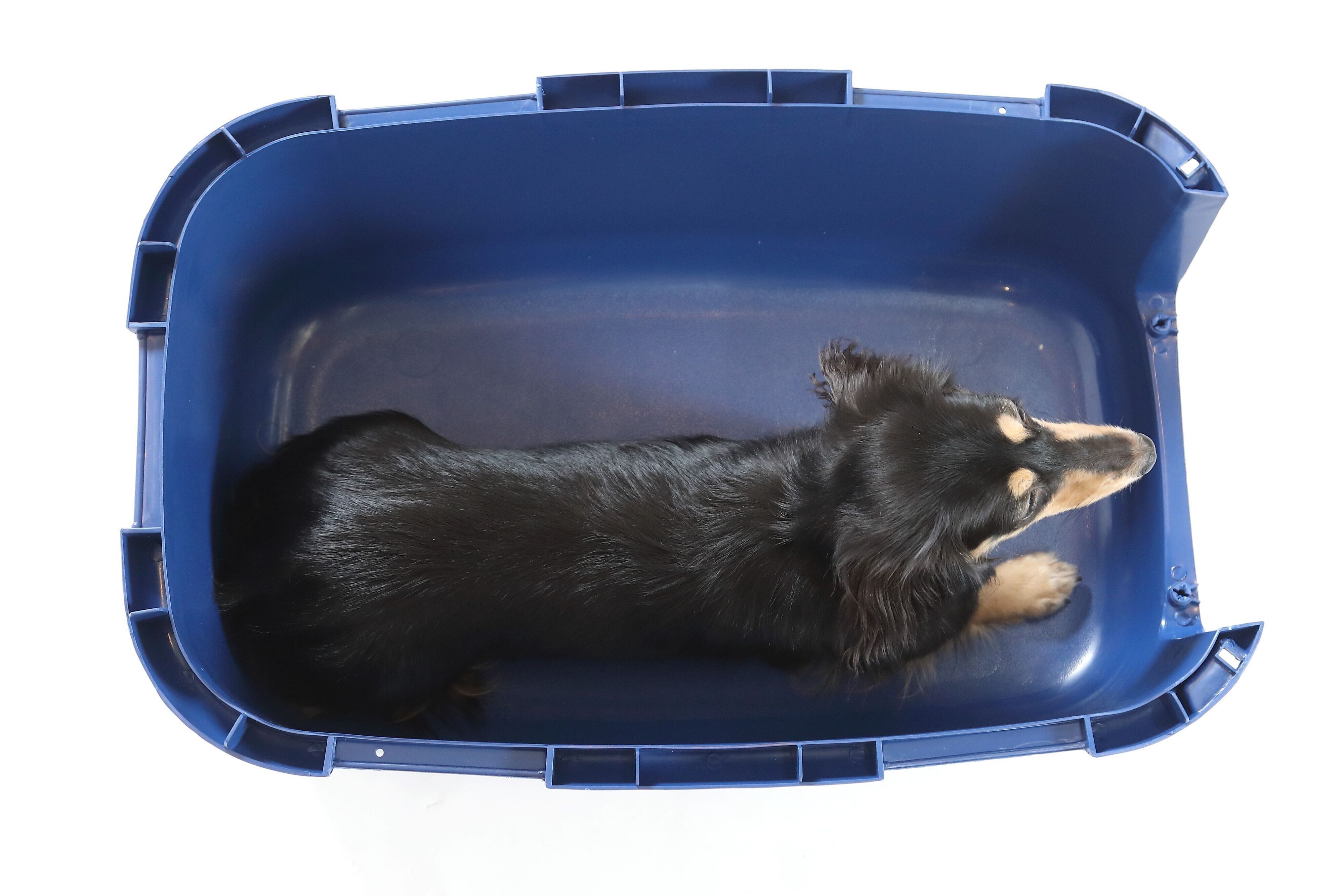 写真／尾﨑たまき